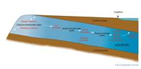 Schematic diagram of downgradient chemical changes in groundwater