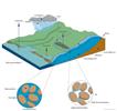 Groundwater in the hydrological cycle