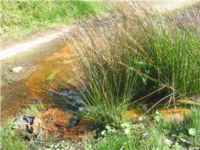 Ground affected by acid mine drainage